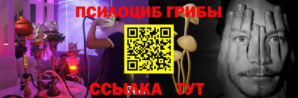 Псилоцибиновые грибы Cubensis  Вход с VPN  Рузаевка 